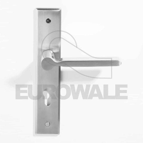 Poignées de porte d'entrée