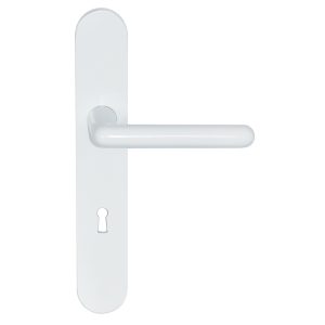 Camélia Sup Blanc