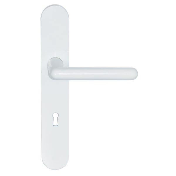 Camélia Sup Blanc